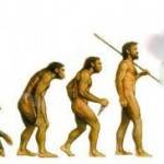 Problems with theistic evolution