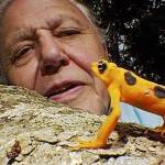 Sir David Attenborough 'gets hate mail from creationists'